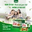 1 vỉ TPBVSK Viên Ngậm Thiên Môn 400 Bổ Phổi Premium TITAFA