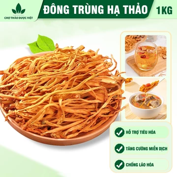 Đông trùng hạ thảo 1kg, trà đông trùng sợi vàng, khô, thơm, dùng pha trà, chưng yến, nấu lẩu, hầm canh