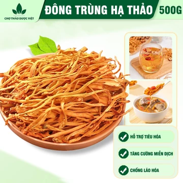 Đông trùng hạ thảo 500g, trà đông trùng sợi vàng, khô, thơm, dùng pha trà, chưng yến, nấu lẩu, hầm canh