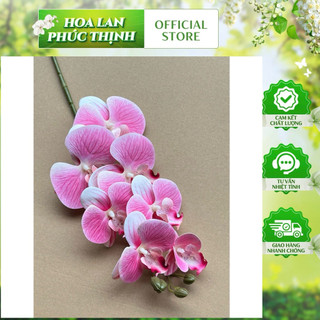 combo 10 cành lan su 7b thân thường 💥lan cao su cao cấp -trang trí bình hoa phòng khách, đại sảnh, cà phê, khách sạn....