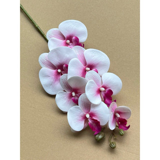 combo 10 cành lan su 7b thân thường 💥lan cao su cao cấp -trang trí bình hoa phòng khách, đại sảnh, cà phê, khách sạn....