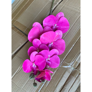 combo 10 cành lan su 7b thân thường 💥lan cao su cao cấp -trang trí bình hoa phòng khách, đại sảnh, cà phê, khách sạn....