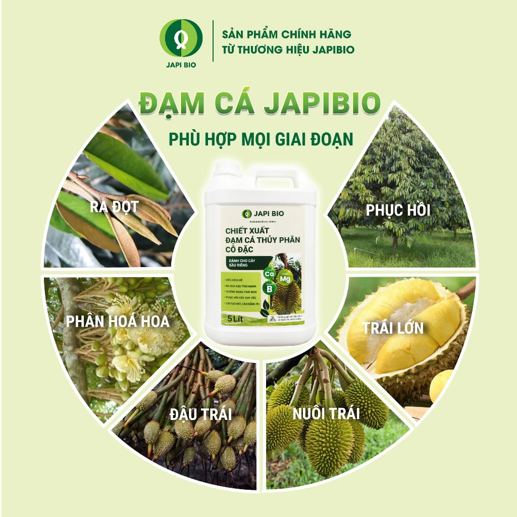 Phân Bón Hữu Cơ JapiBio 5L – Đạm Cá Cô Đặc Cho Sầu Riêng – Kích Rễ, Bật Chồi, Ra Hoa, Đậu Trái