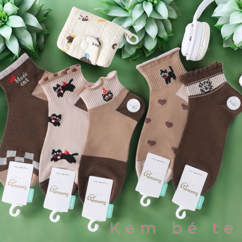 Set nâu 13
