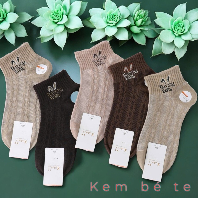 Set nâu 16