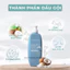 Bộ Gội Xả EASYCOS Salicylic Acid Collagen 800ml - Làm Sạch Gàu, Dưỡng Tóc Suôn Mượt, Phục Hồi Da Đầu