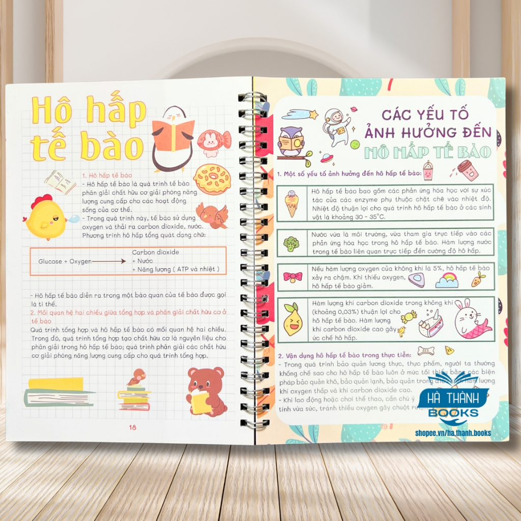 Sổ tay take note Khoa học tự nhiên lớp 7 – Tóm tắt kiến thức đầy đủ, gáy xoắn lò xo, in màu đẹp