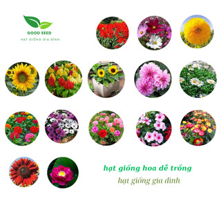 Hạt Giống Hoa dễ trồng, dễ chăm, trồng quanh năm, nảy mầm tốt- Hạt Giống Gia Đình