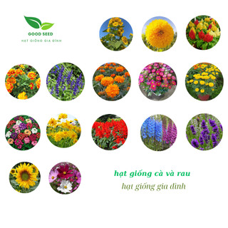 Hạt Giống Hoa dễ trồng, trồng quanh năm, tỉ lệ nảy mầm cao-Hạt Giống Gia Đình