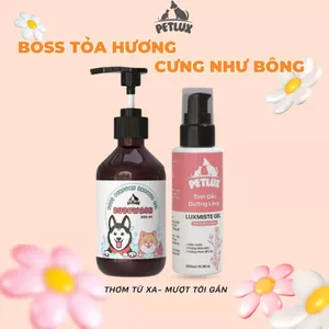 BOSS THƠM- LÔNG MƯỢT: Tắm Thơm Phức Với Bubuwash 500ml + Dưỡng Mượt Như Bông với Luxmiste Gel 100ml.