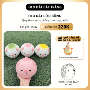 Heo Đất Bánh Bao Bát Tràng – Tiết Kiệm Tiền, Trang Trí & Quà Tặng Siêu Dễ Thương