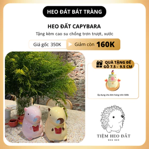 Heo Đất Capybara Bát Tràng – Gốm Cute Trang Trí