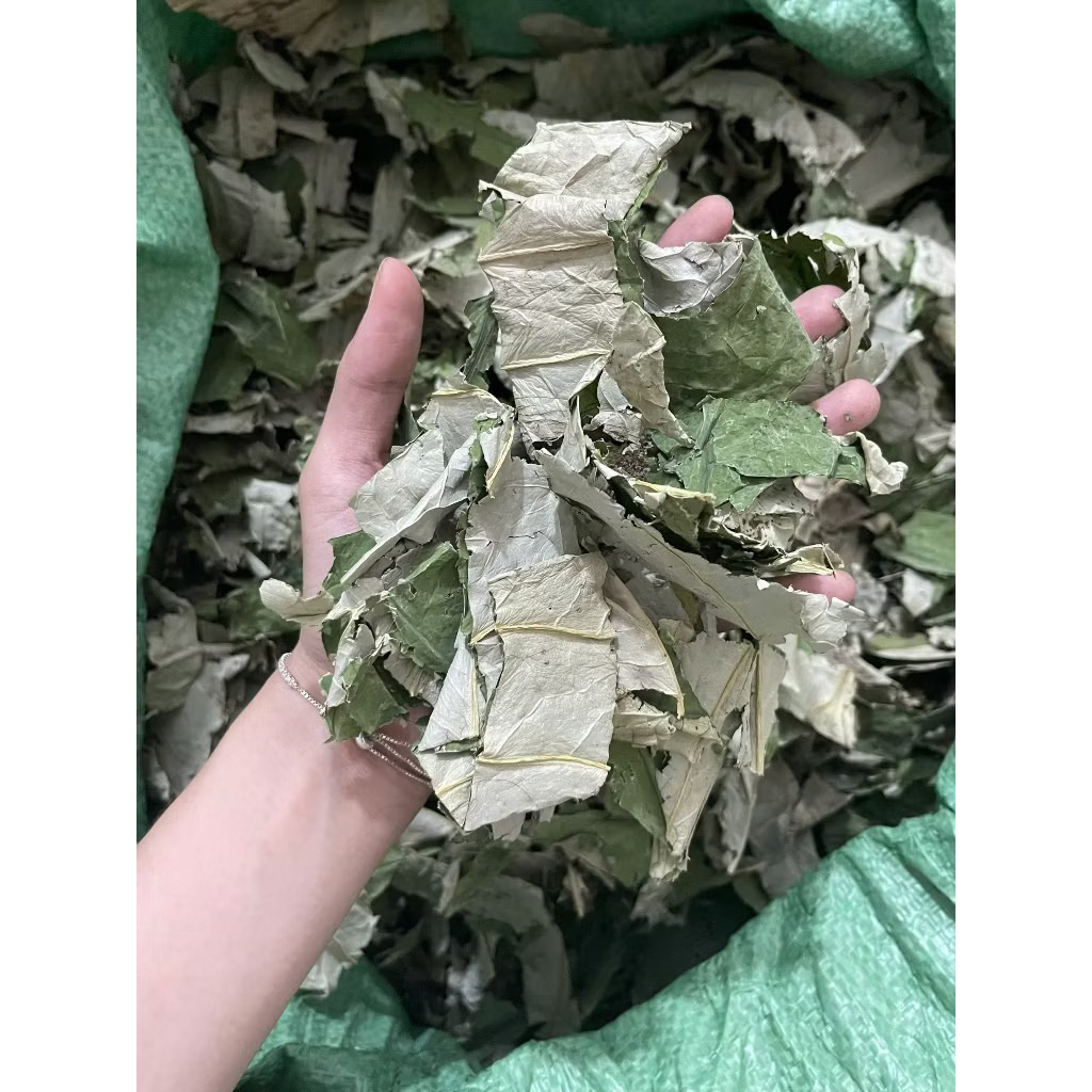 Lá Sen Khô Giảm Cân, Giảm Mỡ, Hạ Mỡ Máu, Giúp Ngủ Ngon