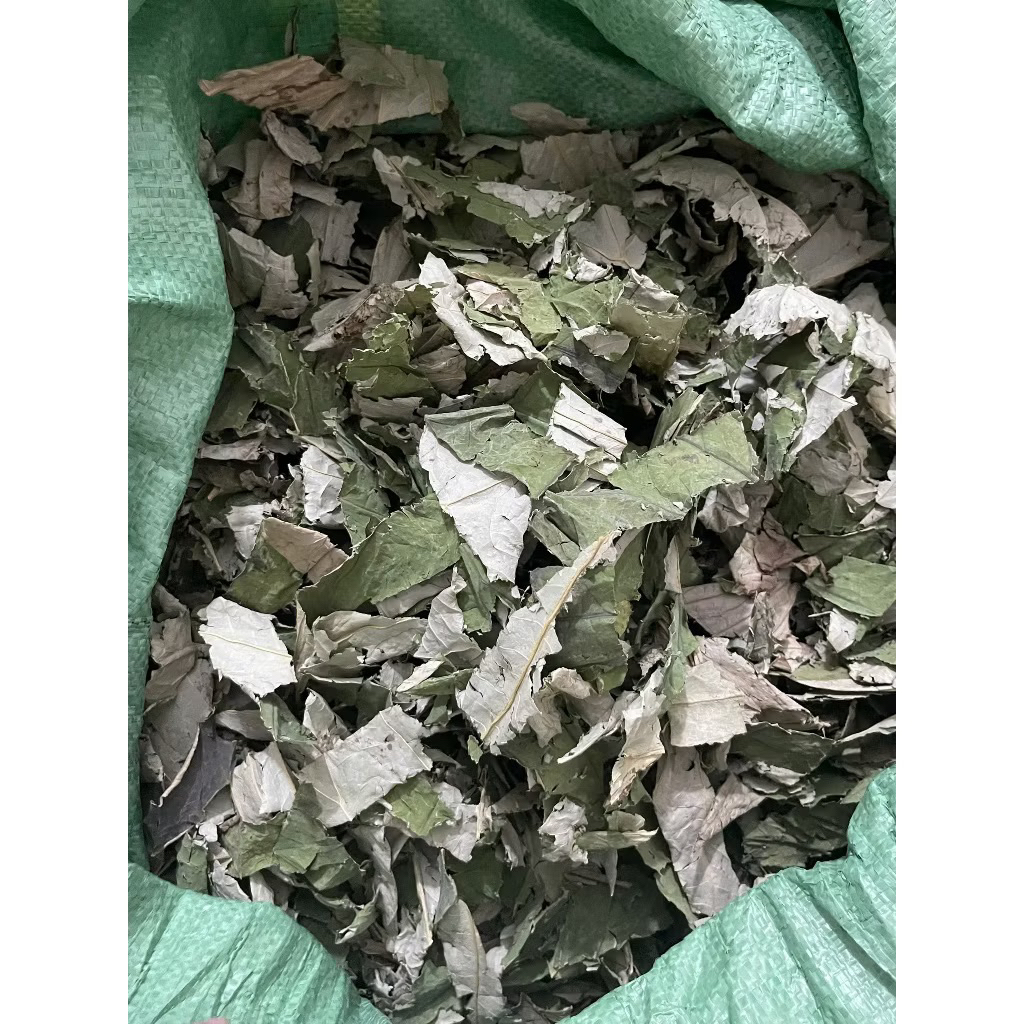 Lá Sen Khô Giảm Cân, Giảm Mỡ, Hạ Mỡ Máu, Giúp Ngủ Ngon