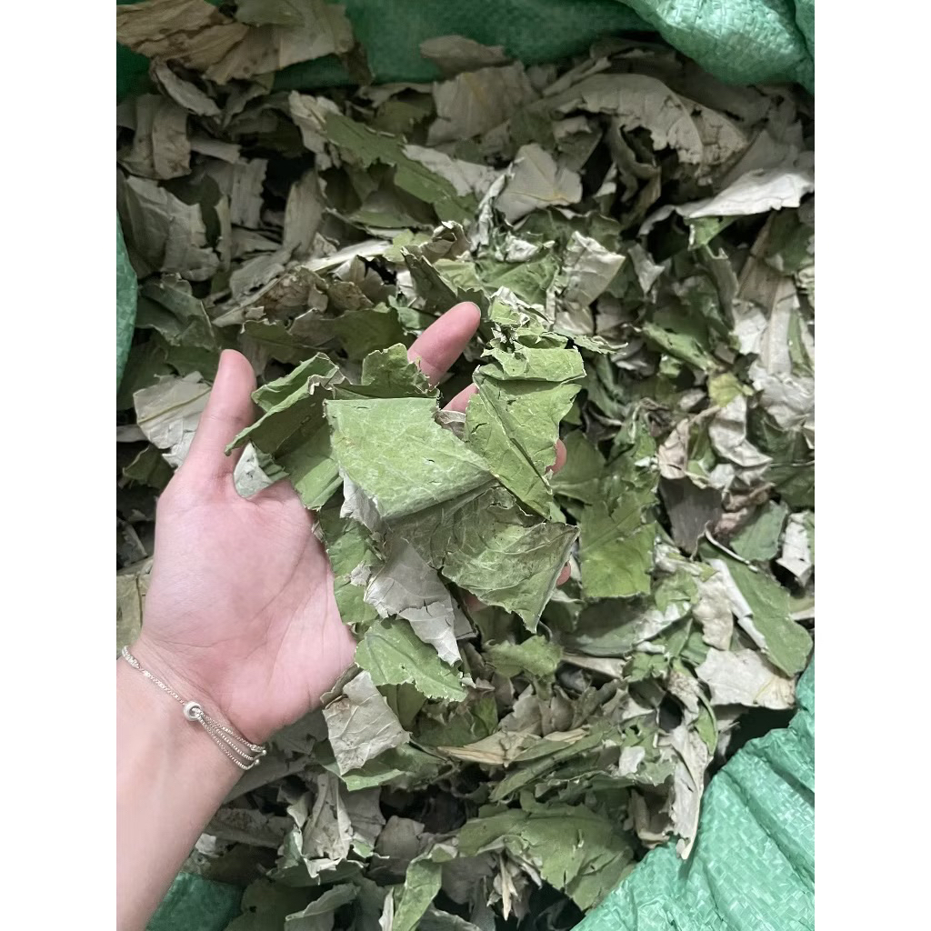 Lá Sen Khô Giảm Cân, Giảm Mỡ, Hạ Mỡ Máu, Giúp Ngủ Ngon