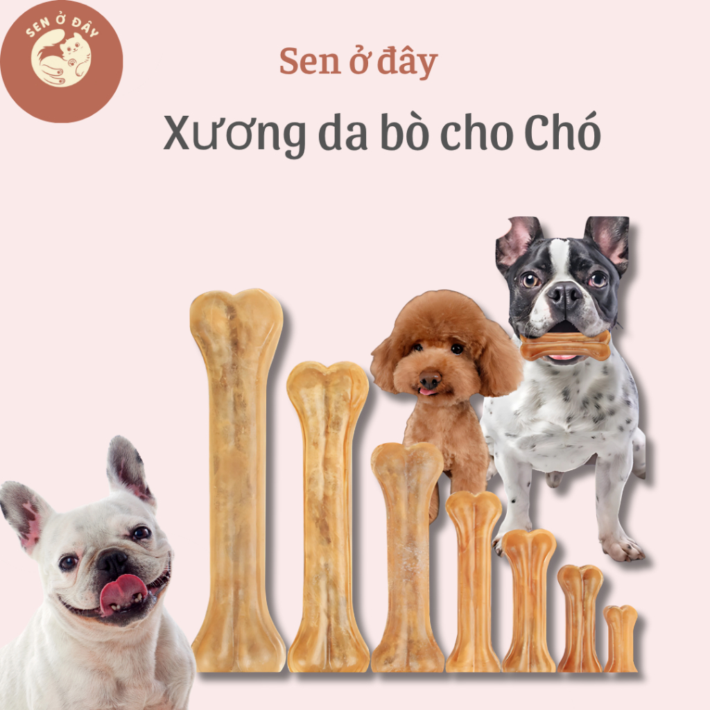 Xương Da Bò Gặm Cho Chó - Giúp Hỗ Trợ Làm Sạch Răng Và Giảm Ngứa Cho ...