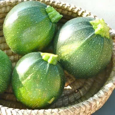 Hạt Giống Bí Ngòi Tròn Vàng &  Bí Ngòi Tròn Xanh | Quả Đẹp, Giòn Ngọt, Năng Suất Cao