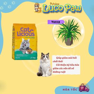 Hạt Cho Mèo Trưởng Thành Cat Licious ( Combo 5kg ) Vị Cá Biển  ( Luco Paw Petshop )