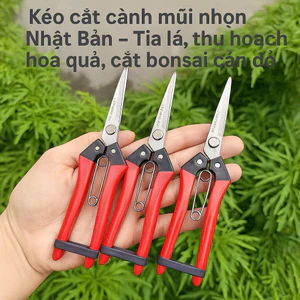 Kéo cắt cành Combo 3 Cây Kéo mũi nhọn Nhật Bản – Tỉa lá, thu hoạch hoa quả, cắt bonsai cán đỏ