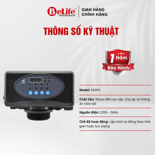 Van tự động 5 cửa Runxin dùng cho hệ thống lọc nước giếng khoan, nước máy (Tặng kèm trõ)