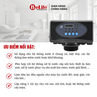 Van tự động 5 cửa Runxin dùng cho hệ thống lọc nước giếng khoan, nước máy (Tặng kèm trõ)