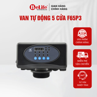Van tự động 5 cửa Runxin dùng cho hệ thống lọc nước giếng khoan, nước máy (Tặng kèm trõ)
