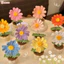 Chậu Len Treo Rose Hoa Cúc Daisy Hoa Hồng Dại Nhiều Màu Sắc Bằng Len - Made by Haste