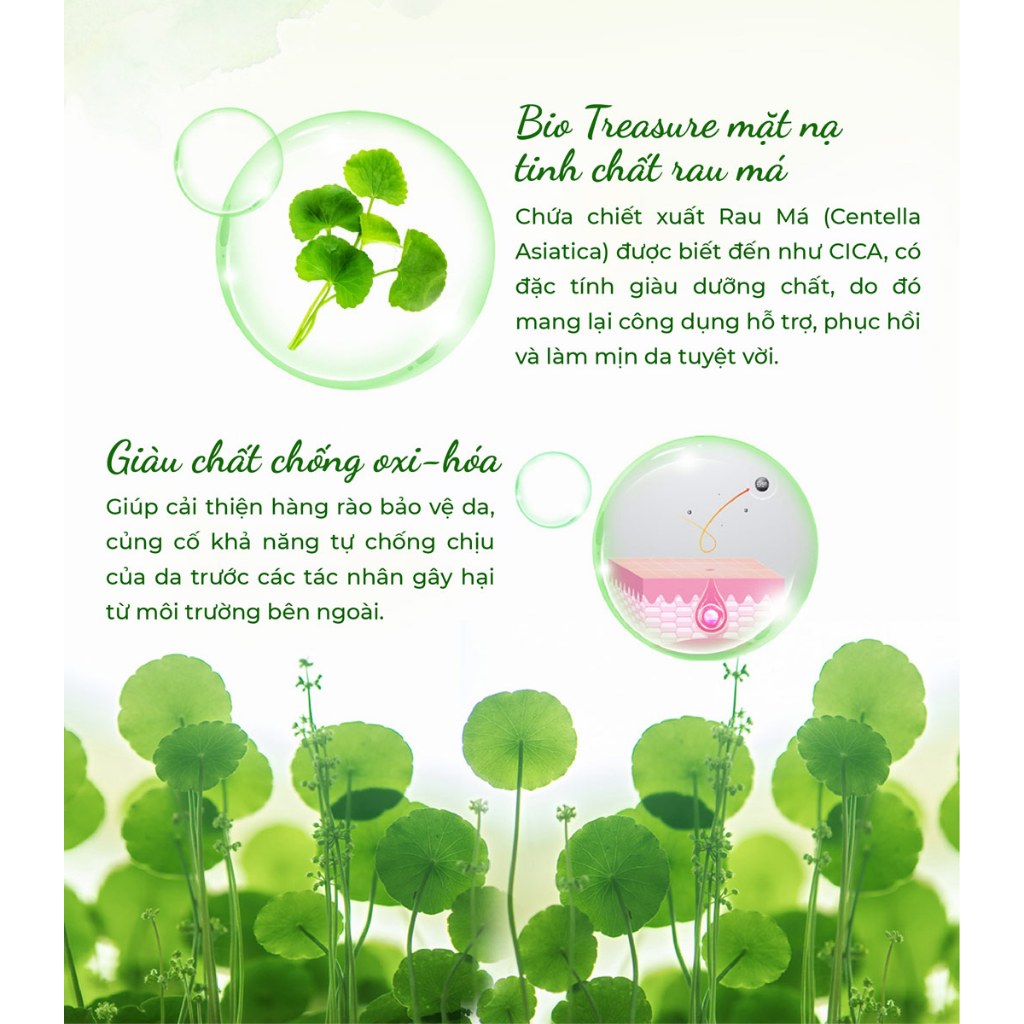 [GIFT] Mặt nạ Bio Essence Bio Mask 20ML - 25ML (Tặng mùi ngẫu nhiên)