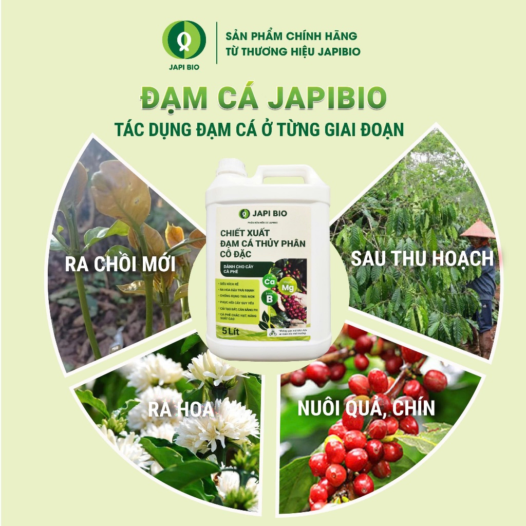 Đạm Cá Hữu Cơ JapiBio 5L Cho Cây Cà Phê – Kích Rễ – Bật Chồi – Ra Hoa Đồng Loạt – Hạt Chắc
