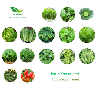 Hạt Giống Rau Củ Các Loại, Trồng Quanh Năm, Sinh Trưởng Phát Triển Khoẻ