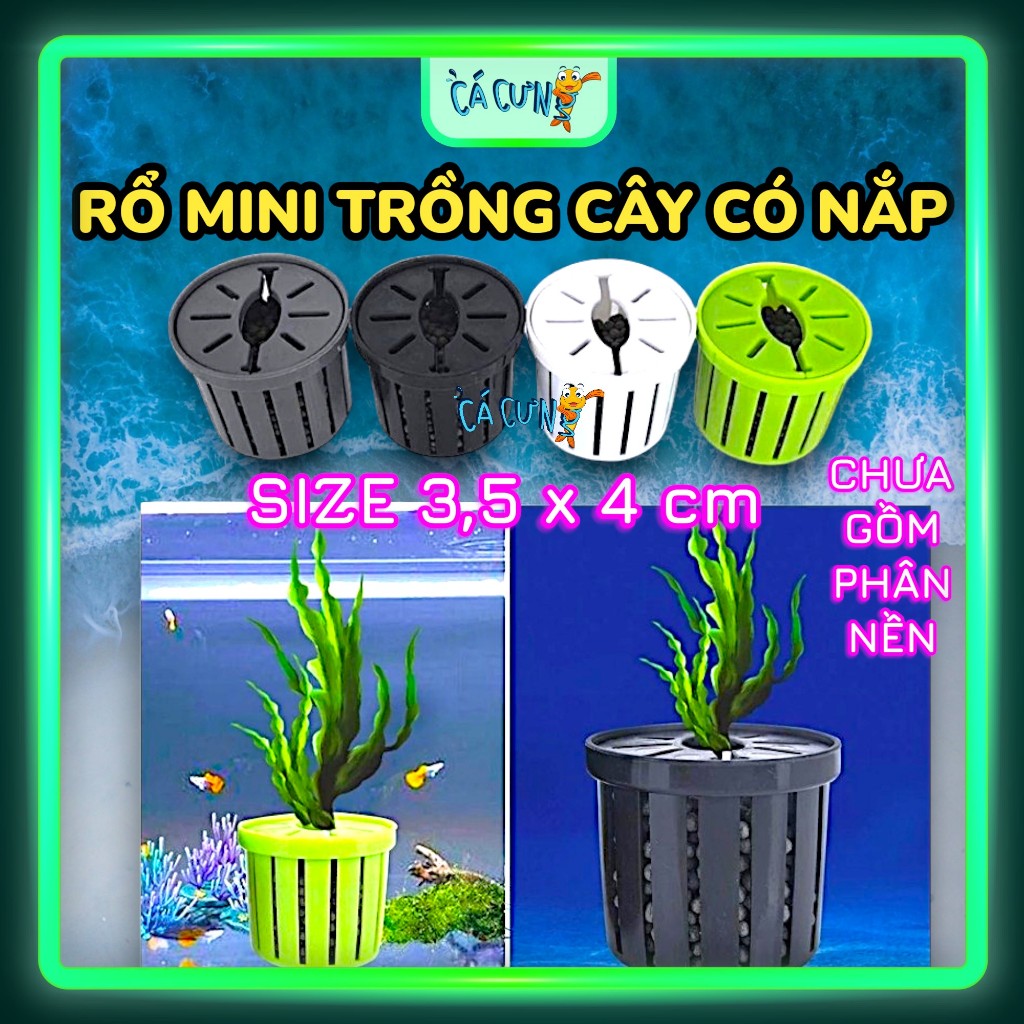 Set 4 Cái Rổ Trồng Cây Mini có nắp - Giỏ trồng thủy canh, Chậu trồng ...