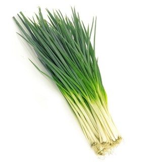 HẠT GIỐNG RAU GIA VỊ- dễ trồng, dễ chăm, sinh trưởng phát triển khoẻ