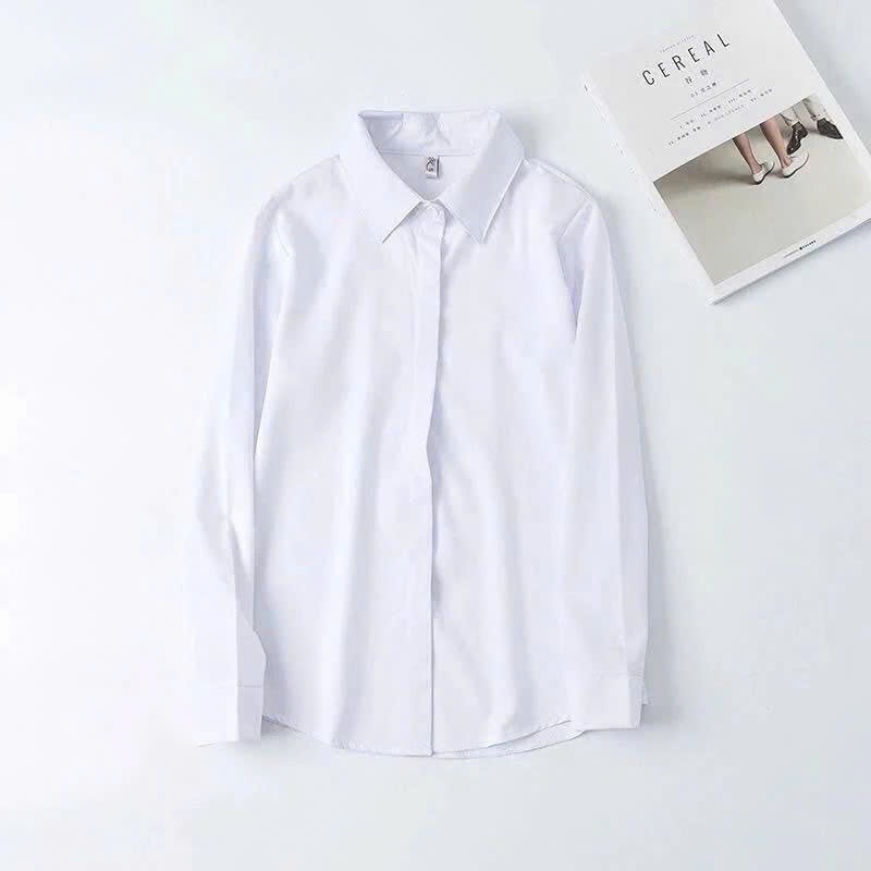 Áo Sơ Mi Trắng Nữ Rymola, Không Nhăn, Giấu Nút, Tay Dài Có Bigsize, Sơ Mi Trắng, Công Sở Chất Vải Cotton Form Suông AS2