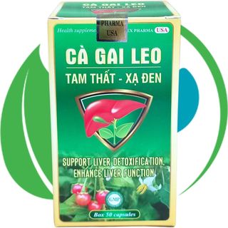 Cà Gai Leo Tam Thất - Xạ Đen Chai - Rostex - Vinaphar - Vitamin Phục Hồi
