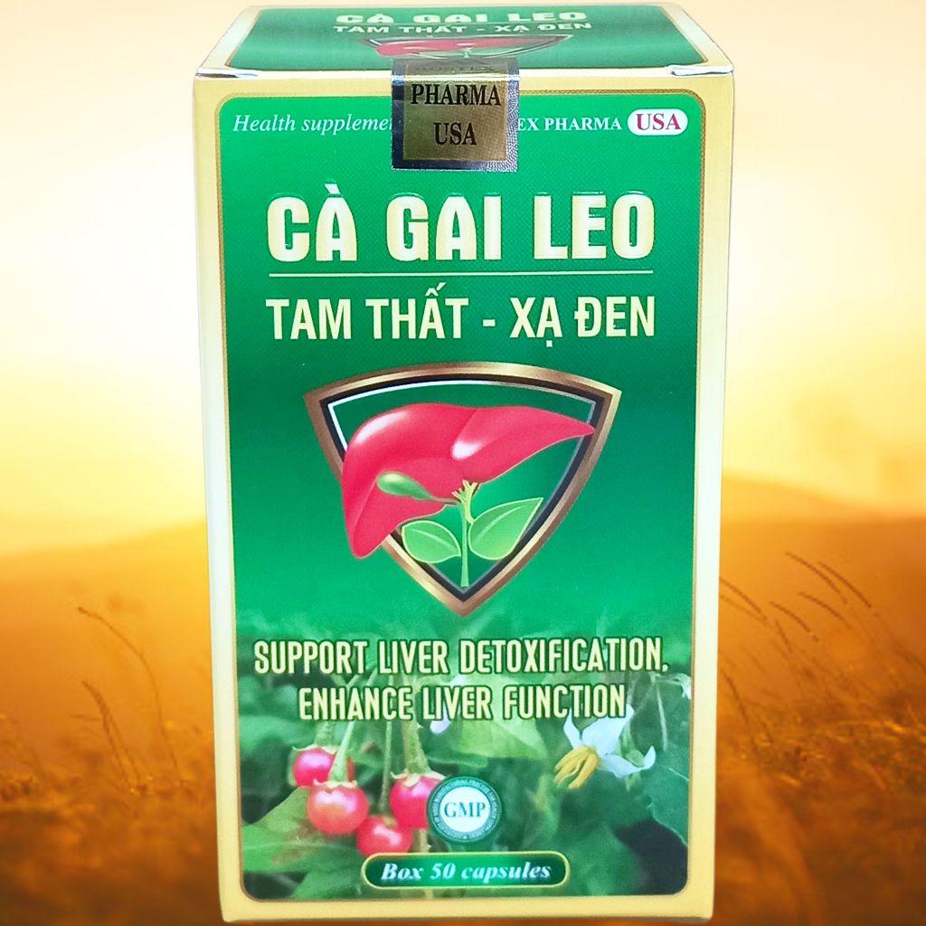 Combo 5 Hộp Cà Gai Leo Tam Thất - Xạ Đen Chai - Rostex - Vinaphar - Vitamin Thanh Lọc
