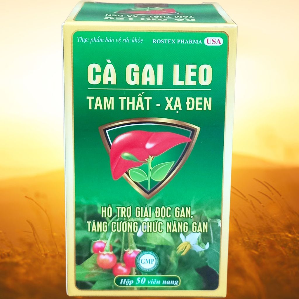 Cà Gai Leo Tam Thất - Xạ Đen Chai - Rostex - Vinaphar - Vitamin Thanh Lọc
