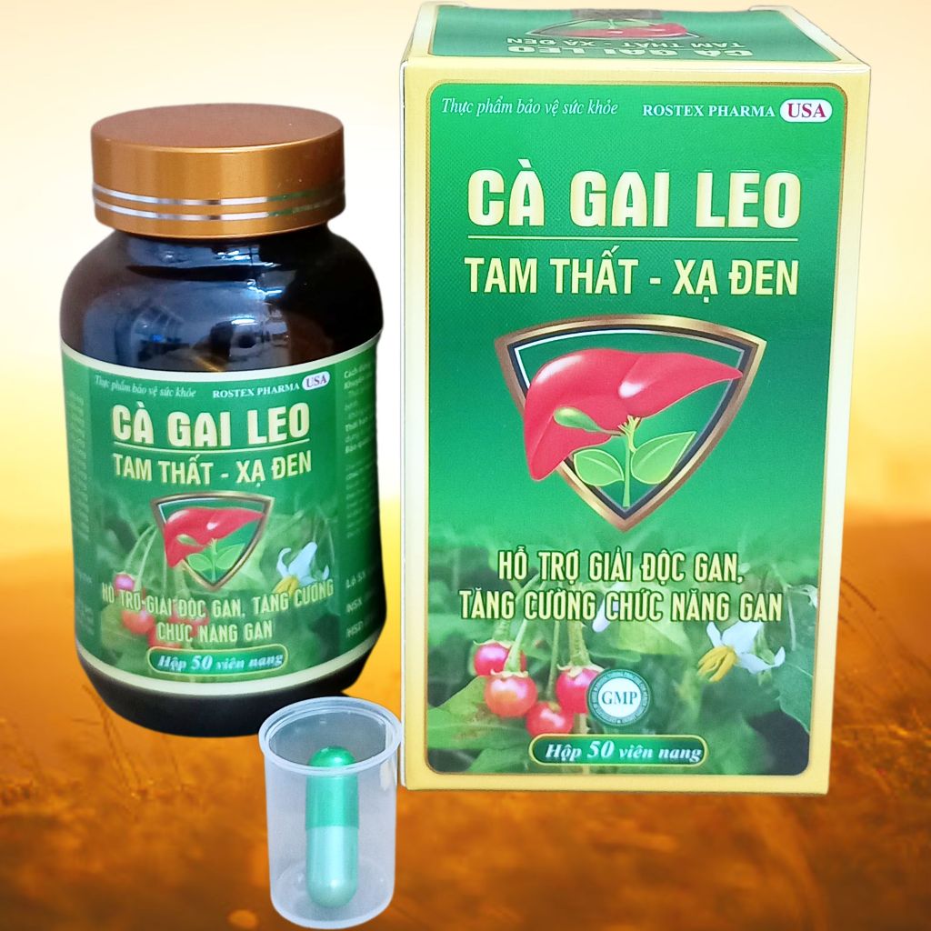 Combo 5 Hộp Cà Gai Leo Tam Thất - Xạ Đen Chai - Rostex - Vinaphar - Vitamin Thanh Lọc