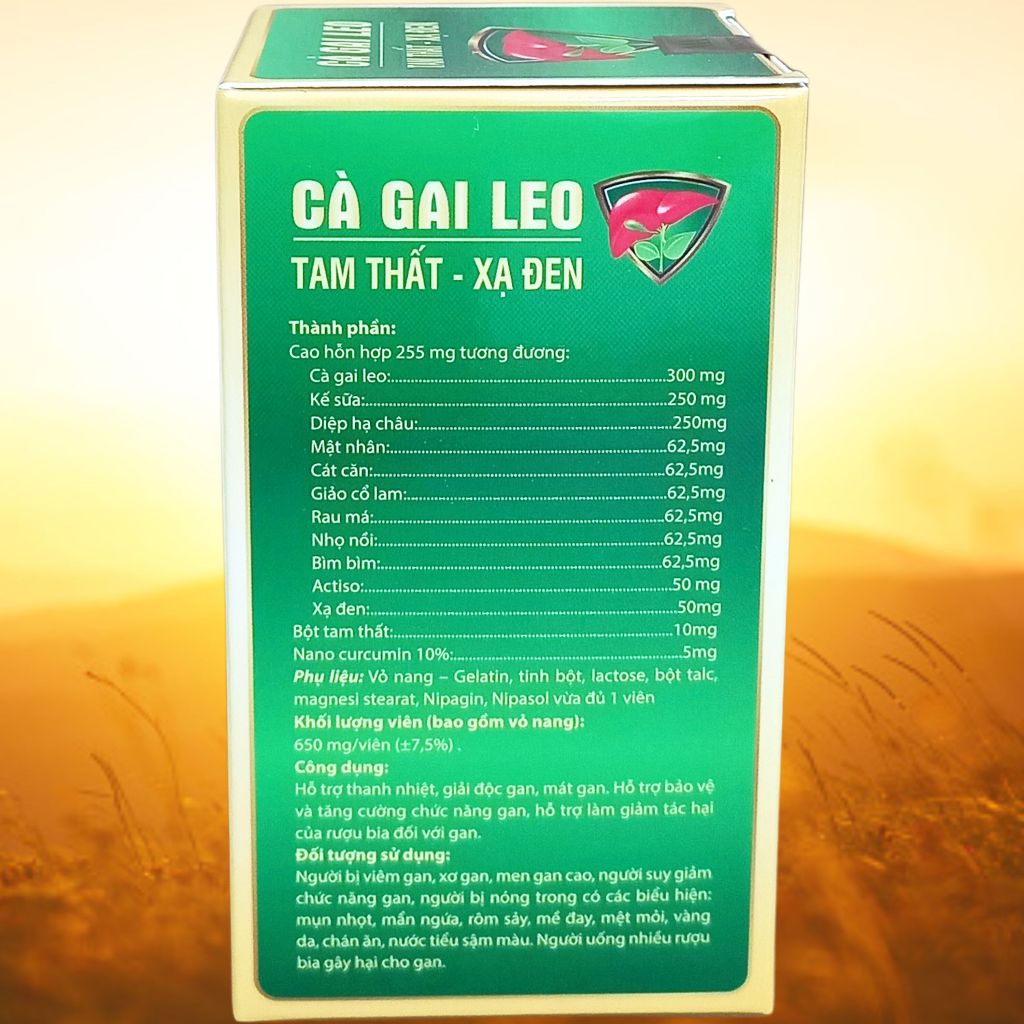 Combo 5 Hộp Cà Gai Leo Tam Thất - Xạ Đen Chai - Rostex - Vinaphar - Vitamin Thanh Lọc