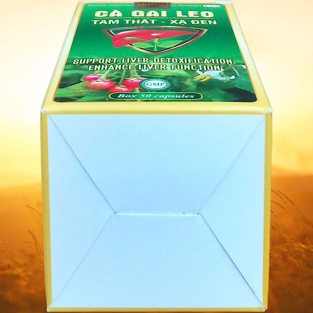Combo 2 Hộp Cà Gai Leo Tam Thất - Xạ Đen Chai - Rostex - Vinaphar - Vitamin Thanh Lọc