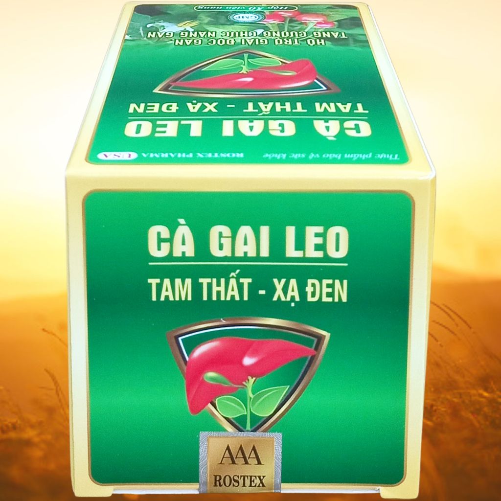 Combo 5 Hộp Cà Gai Leo Tam Thất - Xạ Đen Chai - Rostex - Vinaphar - Vitamin Thanh Lọc