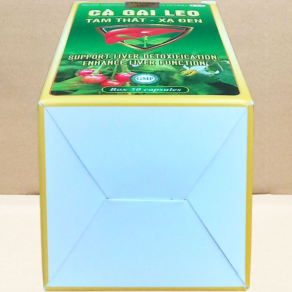 Combo 2 Hộp Cà Gai Leo Tam Thất - Xạ Đen Chai - Rostex - Vinaphar - Vitamin Chữa Lành