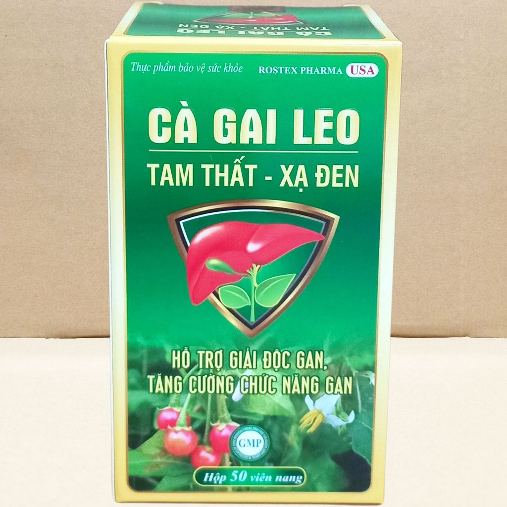 Cà Gai Leo Tam Thất - Xạ Đen Chai - Rostex - Vinaphar - Vitamin Chữa Lành