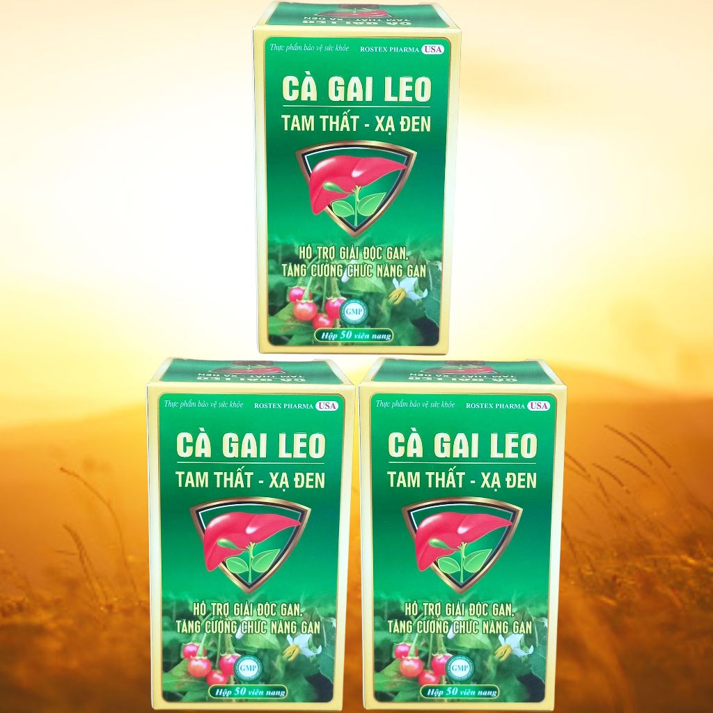 Combo 3 Hộp Cà Gai Leo Tam Thất - Xạ Đen Chai - Rostex - Vinaphar - Vitamin Thanh Lọc