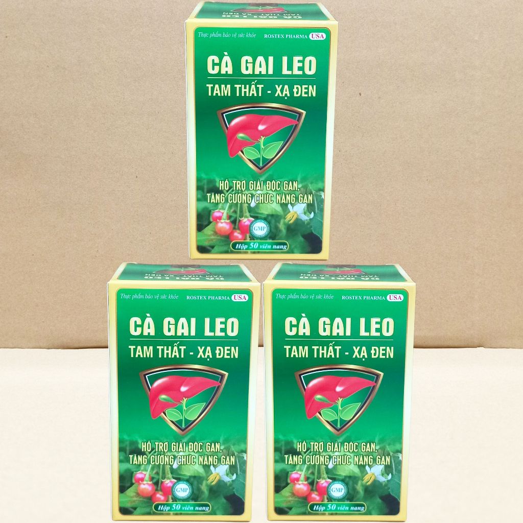 Combo 3 Hộp Cà Gai Leo Tam Thất - Xạ Đen Chai - Rostex - Vinaphar - Vitamin Chữa Lành