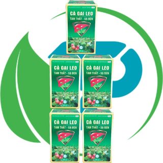 Combo 5 Hộp Cà Gai Leo Tam Thất - Xạ Đen Chai - Rostex - Vinaphar - Vitamin Phục Hồi