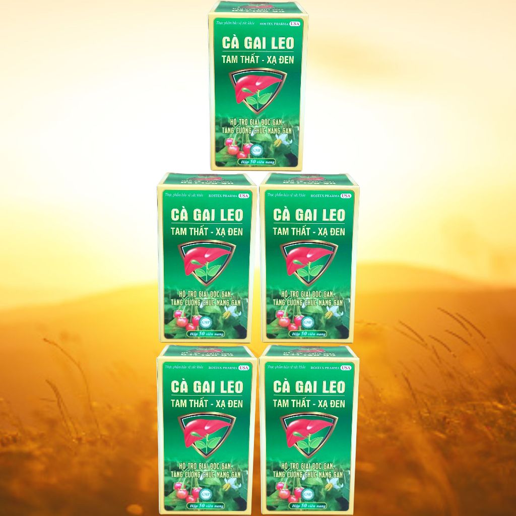 Combo 5 Hộp Cà Gai Leo Tam Thất - Xạ Đen Chai - Rostex - Vinaphar - Vitamin Thanh Lọc