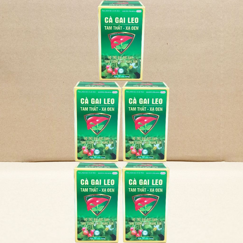 Combo 5 Hộp Cà Gai Leo Tam Thất - Xạ Đen Chai - Rostex - Vinaphar - Vitamin Chữa Lành