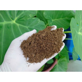 Phân Bò Xử Lý MEKONG Loại 5dm3 Bón Lót Cây Trồng Dinh Dưỡng Hữu Cơ