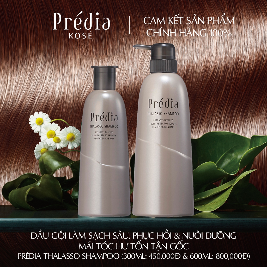 Predia - Giá Tốt, Sale Tháng 07, Freeship 0Đ | Shopee Việt Nam