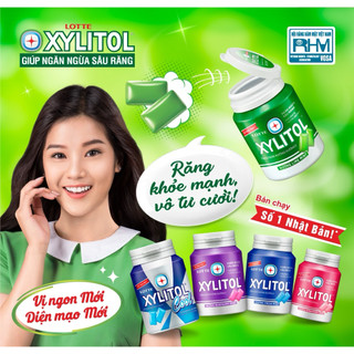 Lốc 6 hũ kẹo gum xylitol không đường Lote(6hx55,1g)
